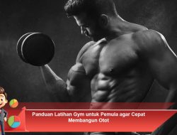 Panduan Latihan Gym untuk Pemula agar Cepat Membangun Otot